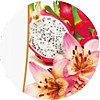 dermomed lilium e dragon fruit mini